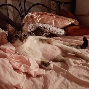 Meet your Posher, Kay